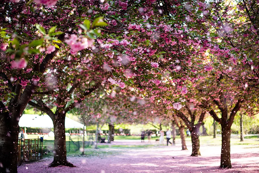 Cómo vestir en Nueva York en abril - Cómo es la primavera en Nueva York como vestir en nueva york en abril - Cómo es la primavera en Nueva York