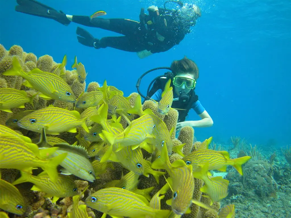 pantalon de buceo - Cómo funcionan los trajes de buzo