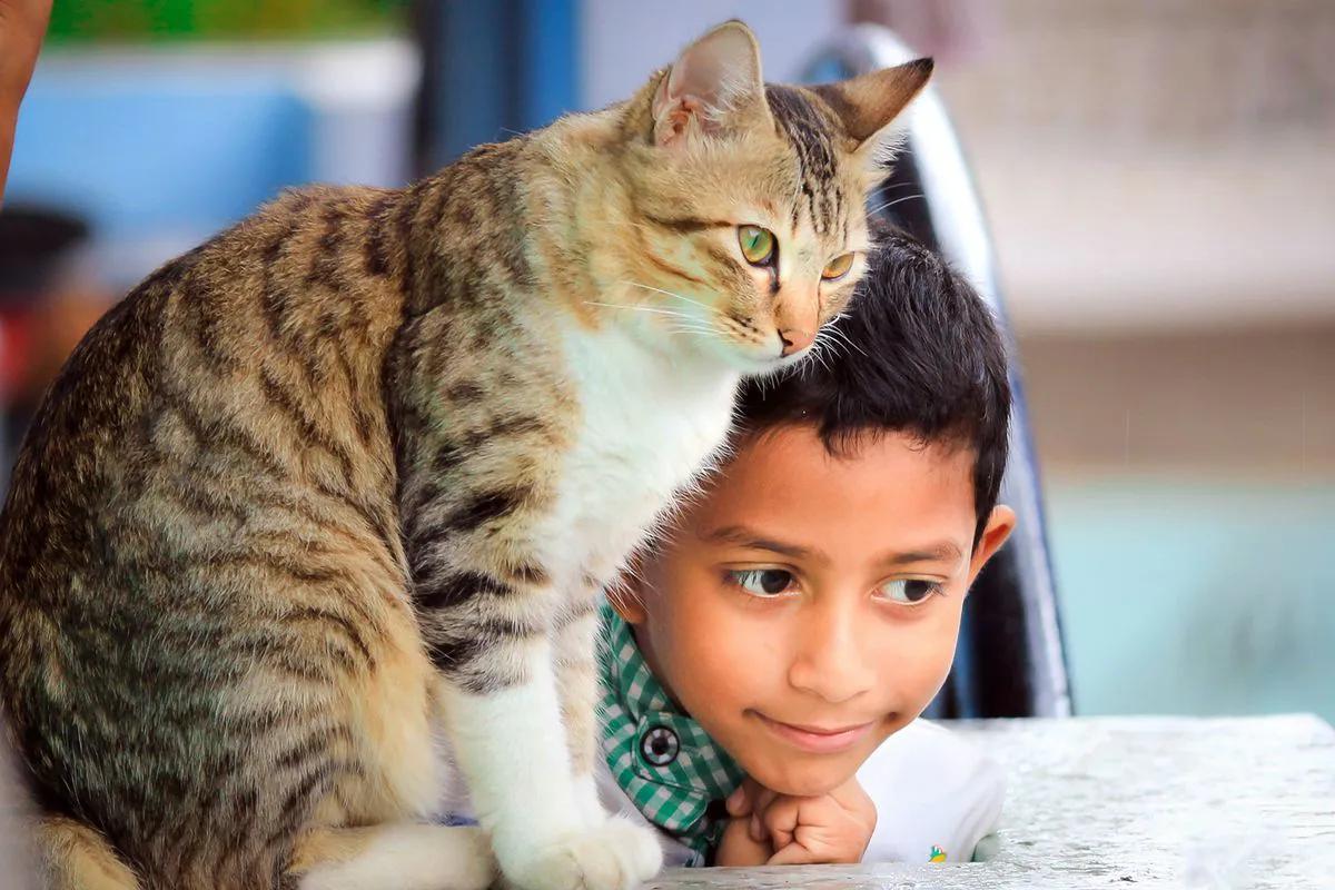 animales vestidos - Cómo influyen las mascotas en los niños