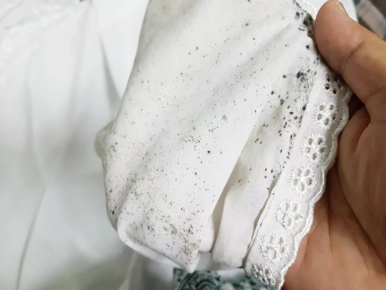 Cómo sacar hongos de la ropa - Cómo quitar las manchas de moho negro en la ropa como sacar hongos de la ropa - Cómo quitar las manchas de moho negro en la ropa