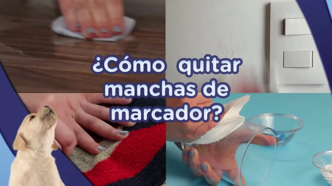 como quitar marcador permanente de la ropa de color - Cómo quitar una mancha de marcador negro en la ropa