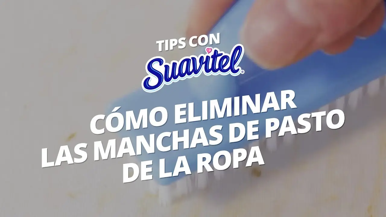 como sacar mancha de pasto en la ropa - Cómo sacar las manchas de pasto de la ropa