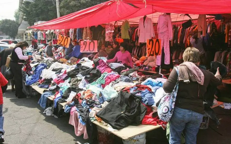 pulga de ropa - Cómo se eliminan las pulgas de la ropa