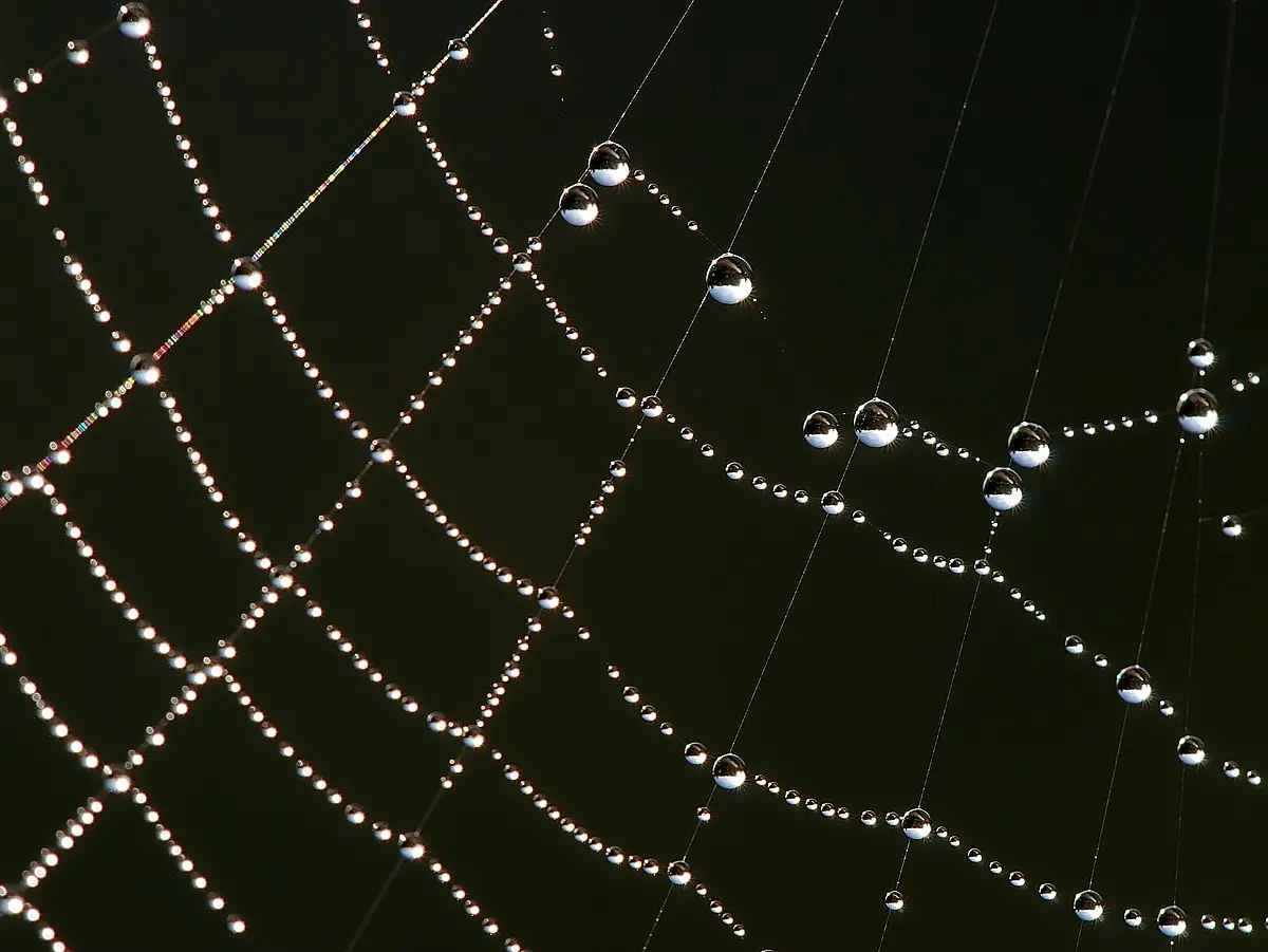 vestido de tela de araña - Cómo se hace la tela de araña