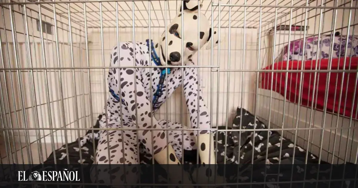 Humano vestido de perro: La historia de 'Toco' y su sueño hecho realidad - Cómo se le llama a la gente que se siente perro humano vestido de perro - Cómo se le llama a la gente que se siente perro
