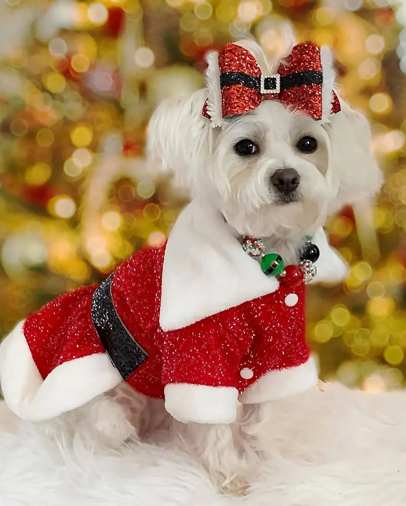 perro vestido de papa noel - Cómo se llama el perro de Santa Claus