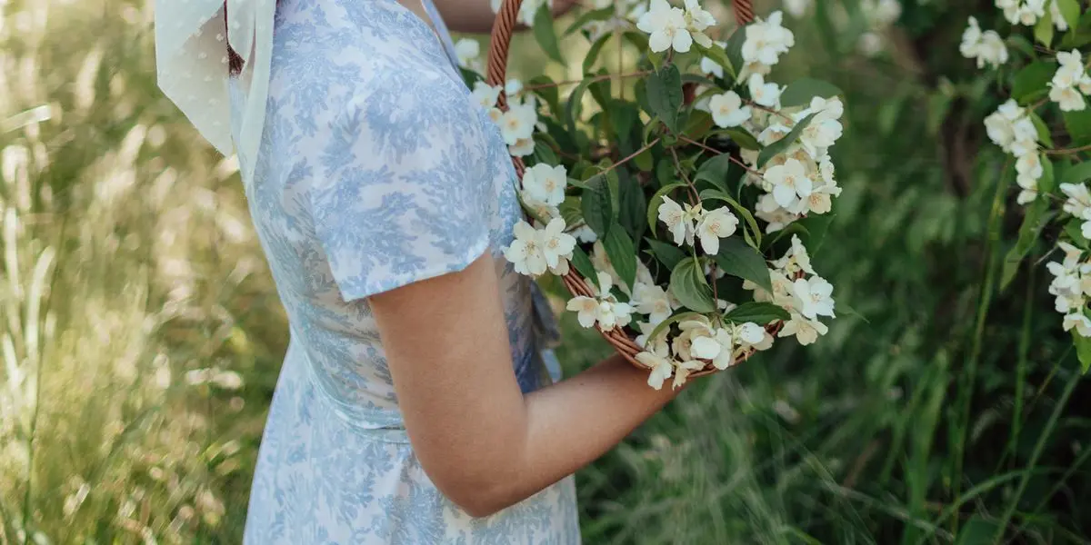 perfumes con olor a flores blancas - Cómo se llama la flor blanca que huele bonito