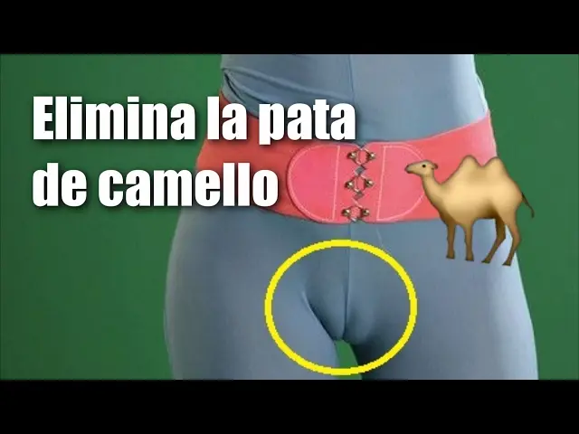 pata de camello pantalon - Cómo se llama la pata de camello