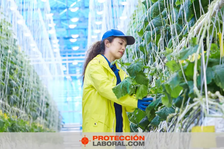 Pantalones para la lluvia: La mejor opción para mantenerse seco - Cómo se llama la ropa para la lluvia pantalones para la lluvia - Cómo se llama la ropa para la lluvia