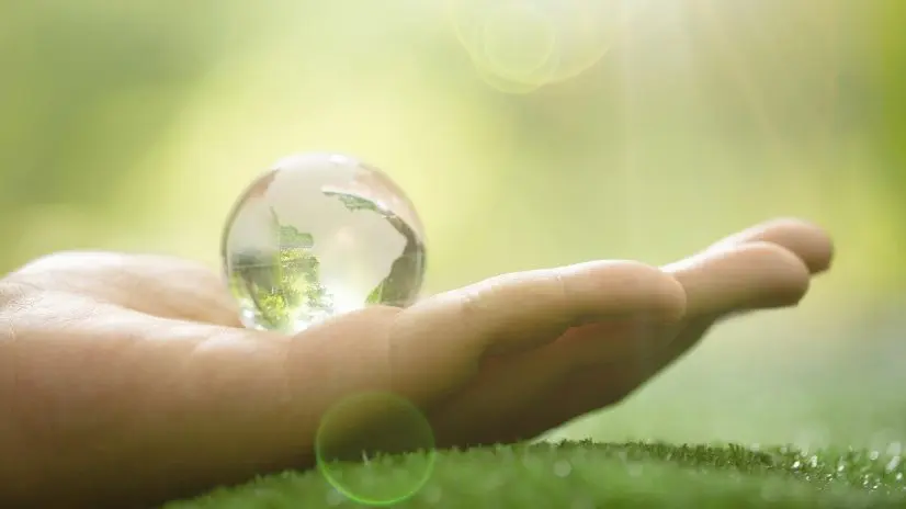 Jabón líquido biodegradable para ropa: una opción sostenible y segura - Cómo se sabe si un jabón es biodegradable jabon liquido biodegradable para ropa - Cómo se sabe si un jabón es biodegradable