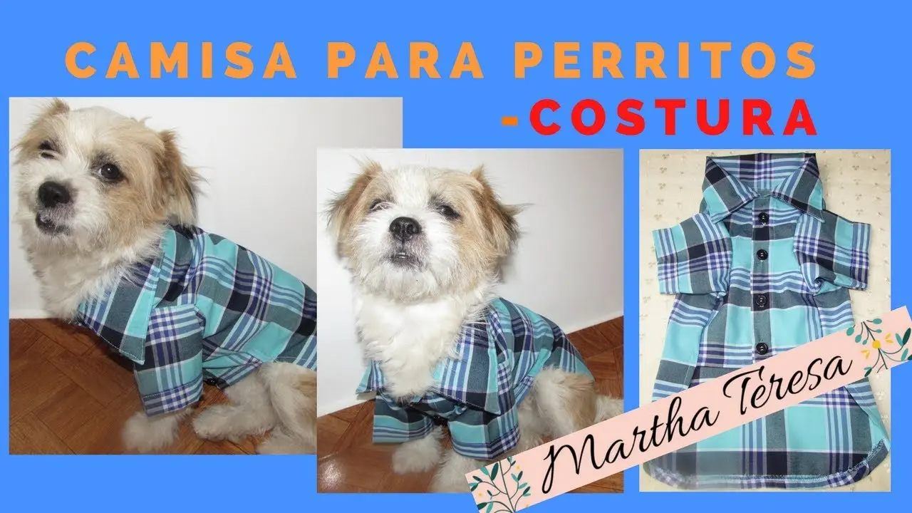 molde para camisa de perro - Cómo se toman las medidas para hacer ropa para perros