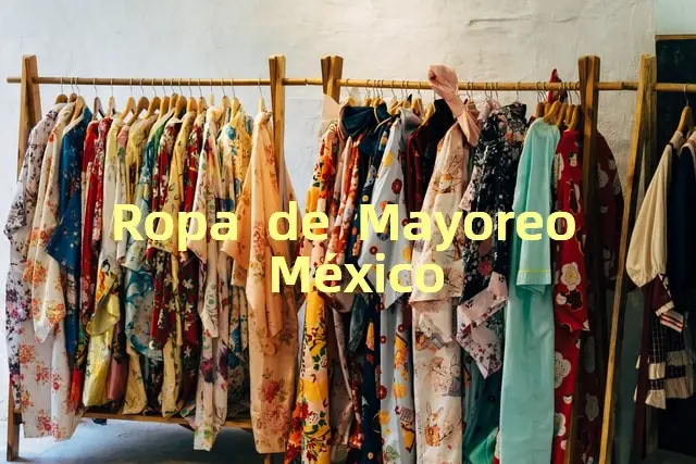 proveedores de ropa en mexico - Cuántas fábricas de ropa hay en México