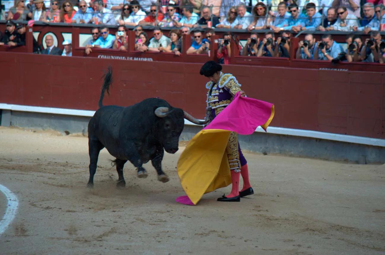 vestido de luces - Cuánto cuesta un traje de luces de torero