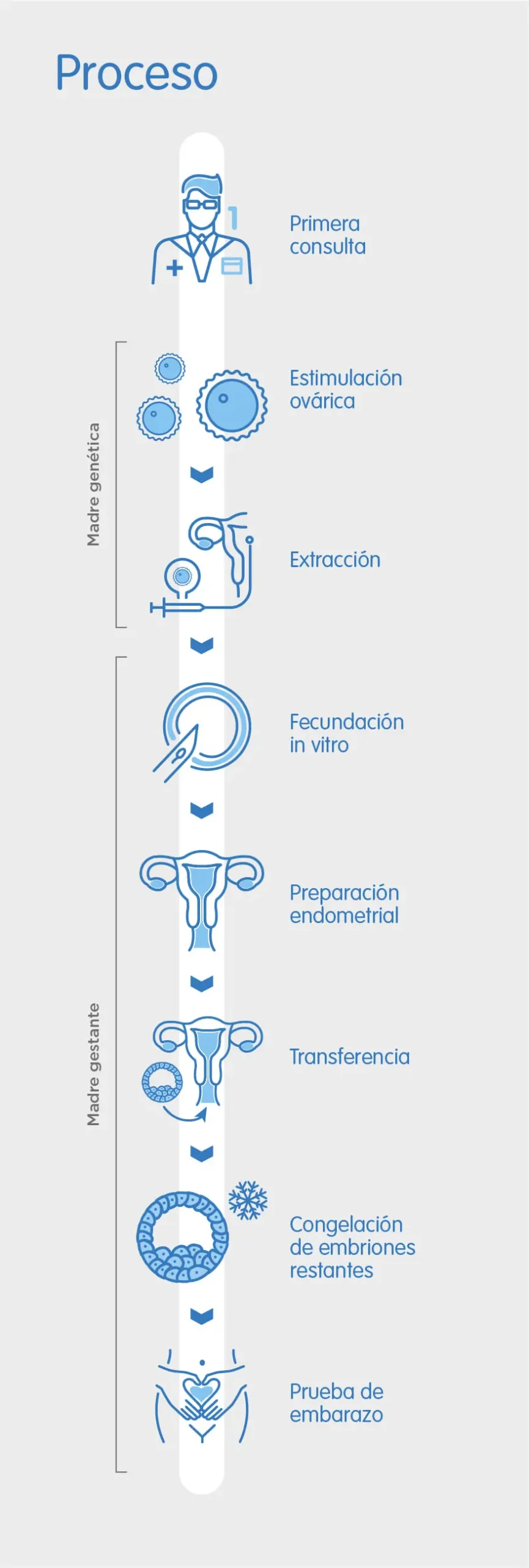 metodo ropa fertilidad - Cuánto dura el tratamiento del método ROPA