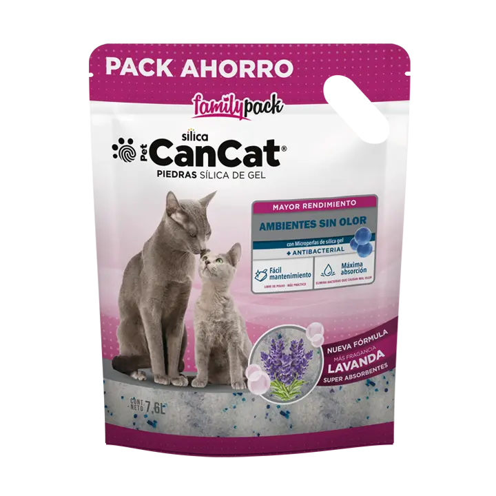 piedras perfumadas para gatos - Dónde poner las piedras sanitarias para gatos