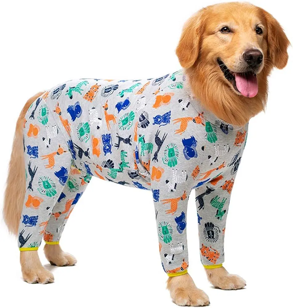 ropa para mascotas - Por que vestir a las mascotas