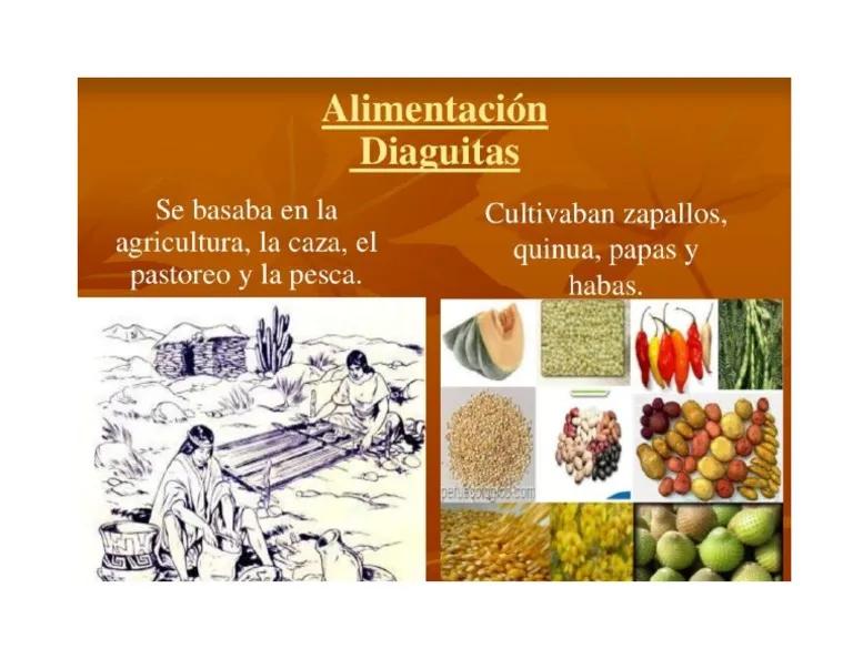 diaguitas alimentacion y vestimenta - Qué alimentos cultivaban los diaguitas