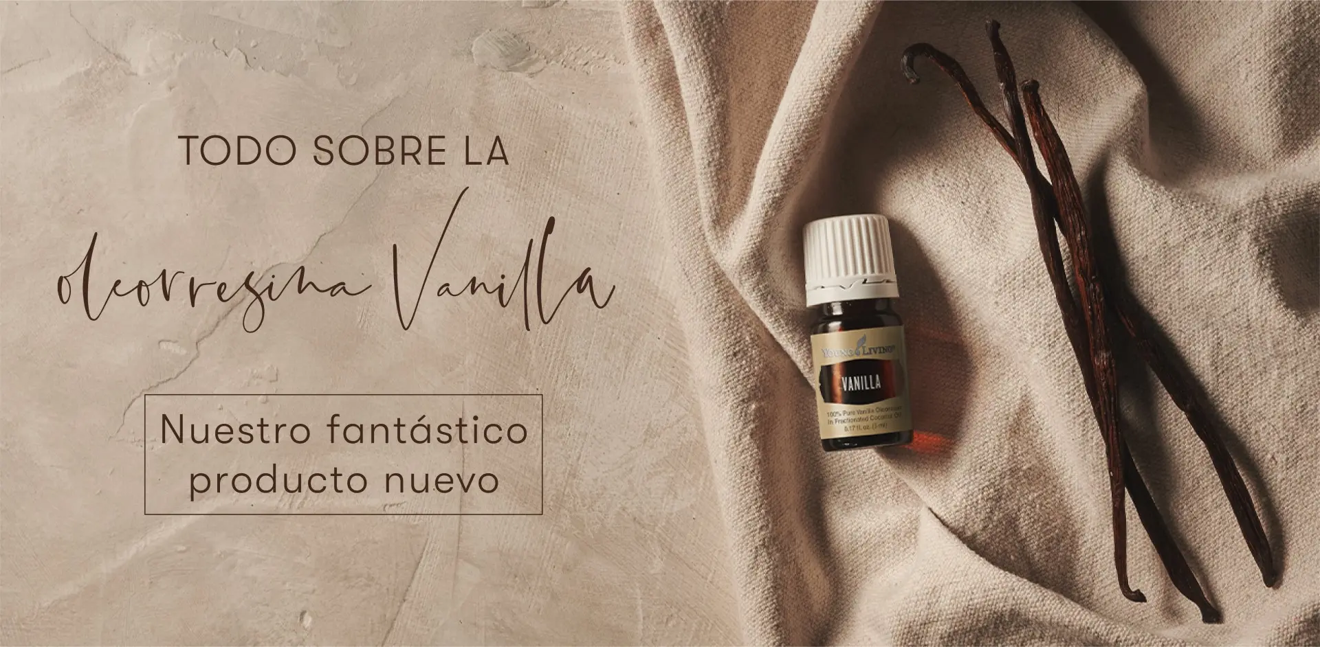 perfumes con notas de vainilla - Qué combina con el olor a vainilla