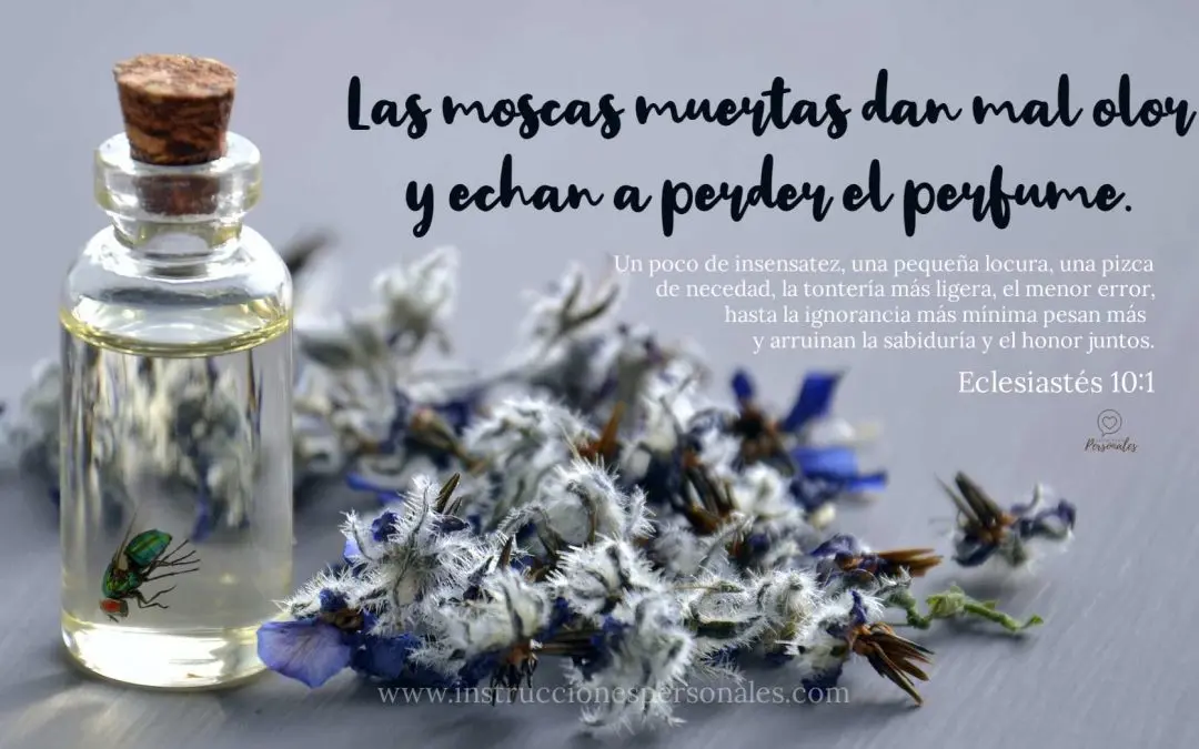 las moscas echan a perder el perfume - Qué dice la Biblia de las moscas