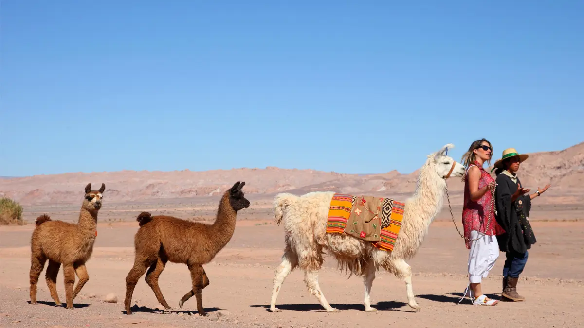 Qué ropa llevar a San Pedro de Atacama - Qué epoca es buena para ir a San Pedro de Atacama que ropa llevar a san pedro de atacama - Qué epoca es buena para ir a San Pedro de Atacama