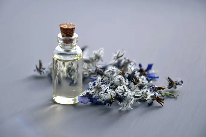 olor a perfume sin explicacion - Qué es bueno para la Fantosmia