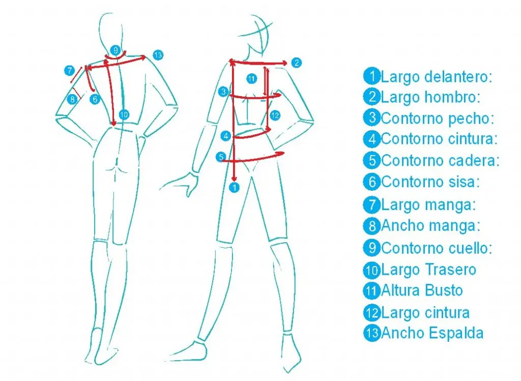 que significa busto en ropa - Qué es el busto en costura