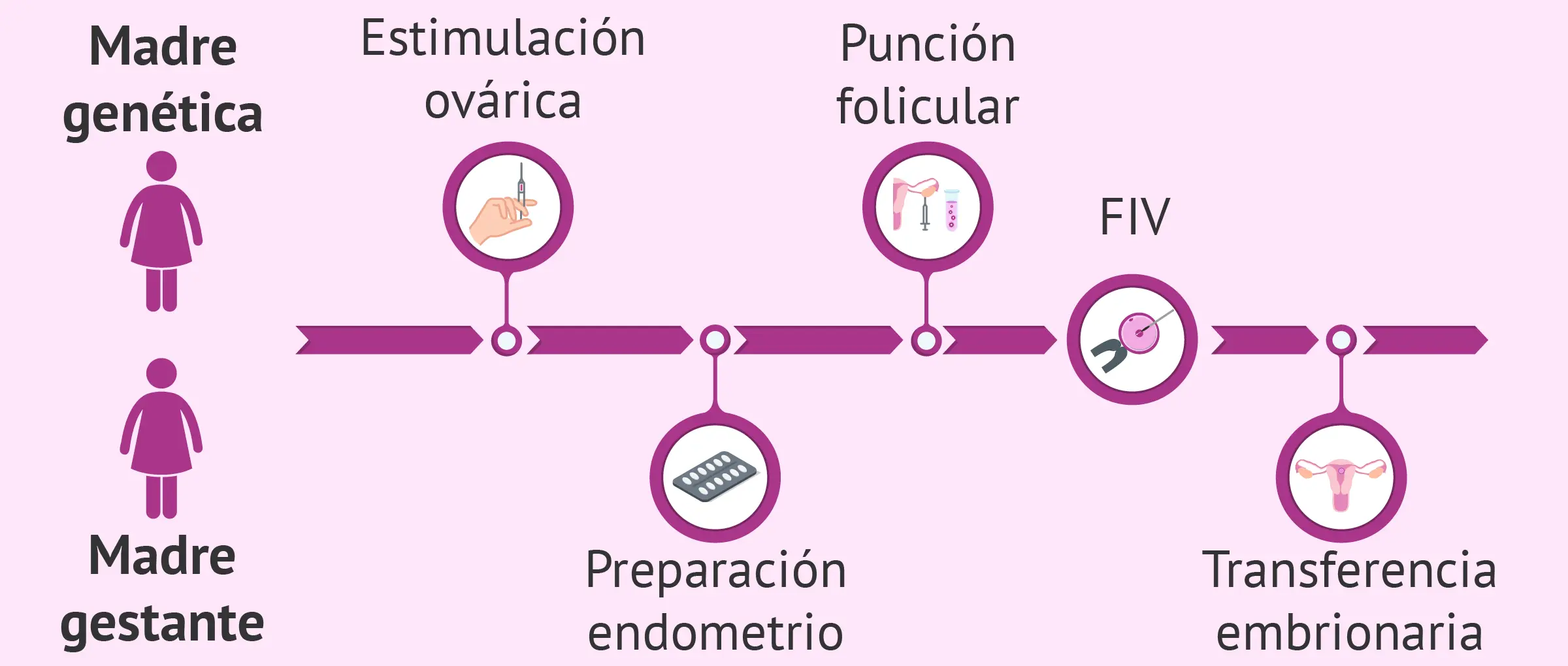 tecnica ropa fertilidad - Qué es un hijo con el método ROPA