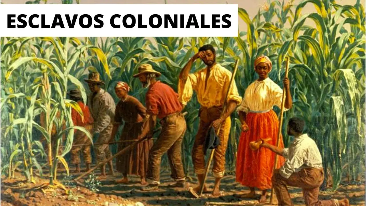 vestimenta de esclavos en la epoca colonial - Qué hacían los esclavos en la época colonial en Argentina