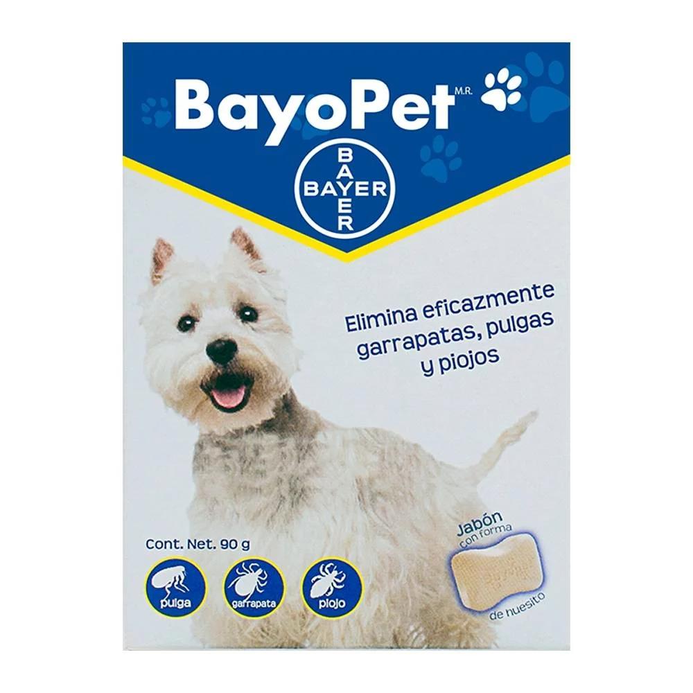Cómo lavar ropa con pulgas - Qué jabón es bueno para quitar las pulgas como lavar ropa con pulgas - Qué jabón es bueno para quitar las pulgas