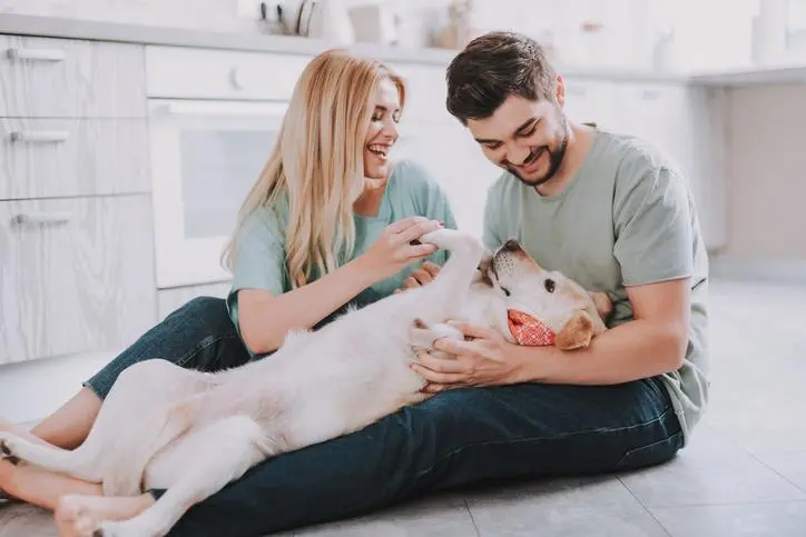 juegos de perritos bebes para cuidar y bañar y vestir - Qué juegos puedo jugar con mi cachorro