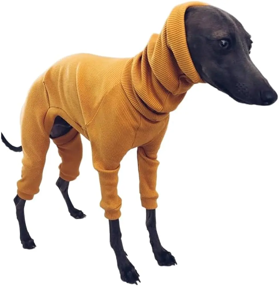 Ropa para galgos: estilo y protección para nuestros amigos de cuatro patas - Qué les gusta a los galgos ropa para galgos - Qué les gusta a los galgos