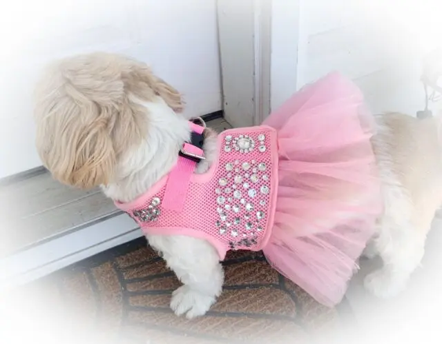 Ropa para perritas Shih Tzu: Estilo y comodidad para tu pequeña compañera - Qué les gusta a los perros Shih Tzu ropa para perritas shih tzu - Qué les gusta a los perros Shih Tzu