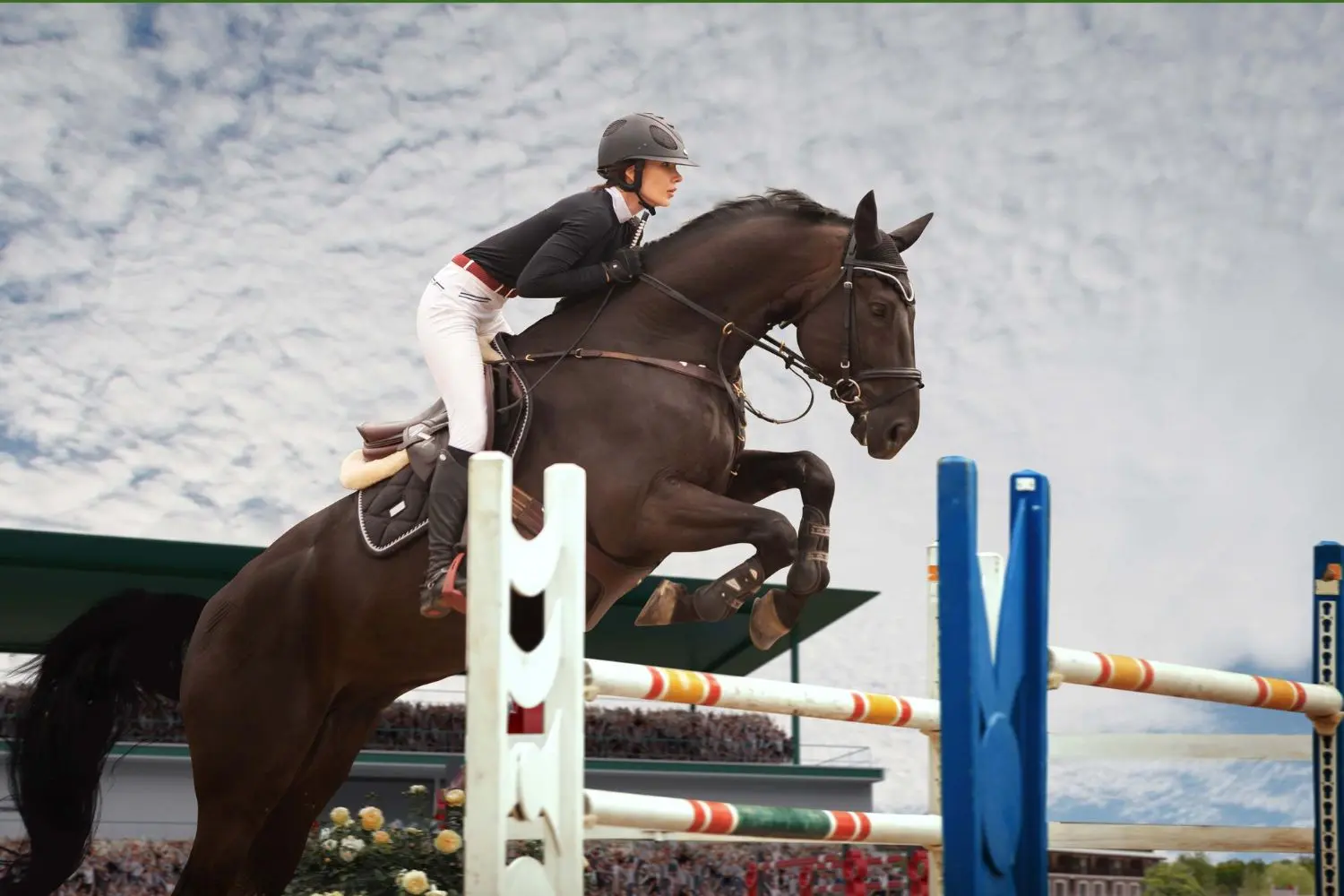 Cómo ir vestida a una carrera de caballos - Que llevar para ir a montar a caballo como ir vestida a una carrera de caballos - Que llevar para ir a montar a caballo