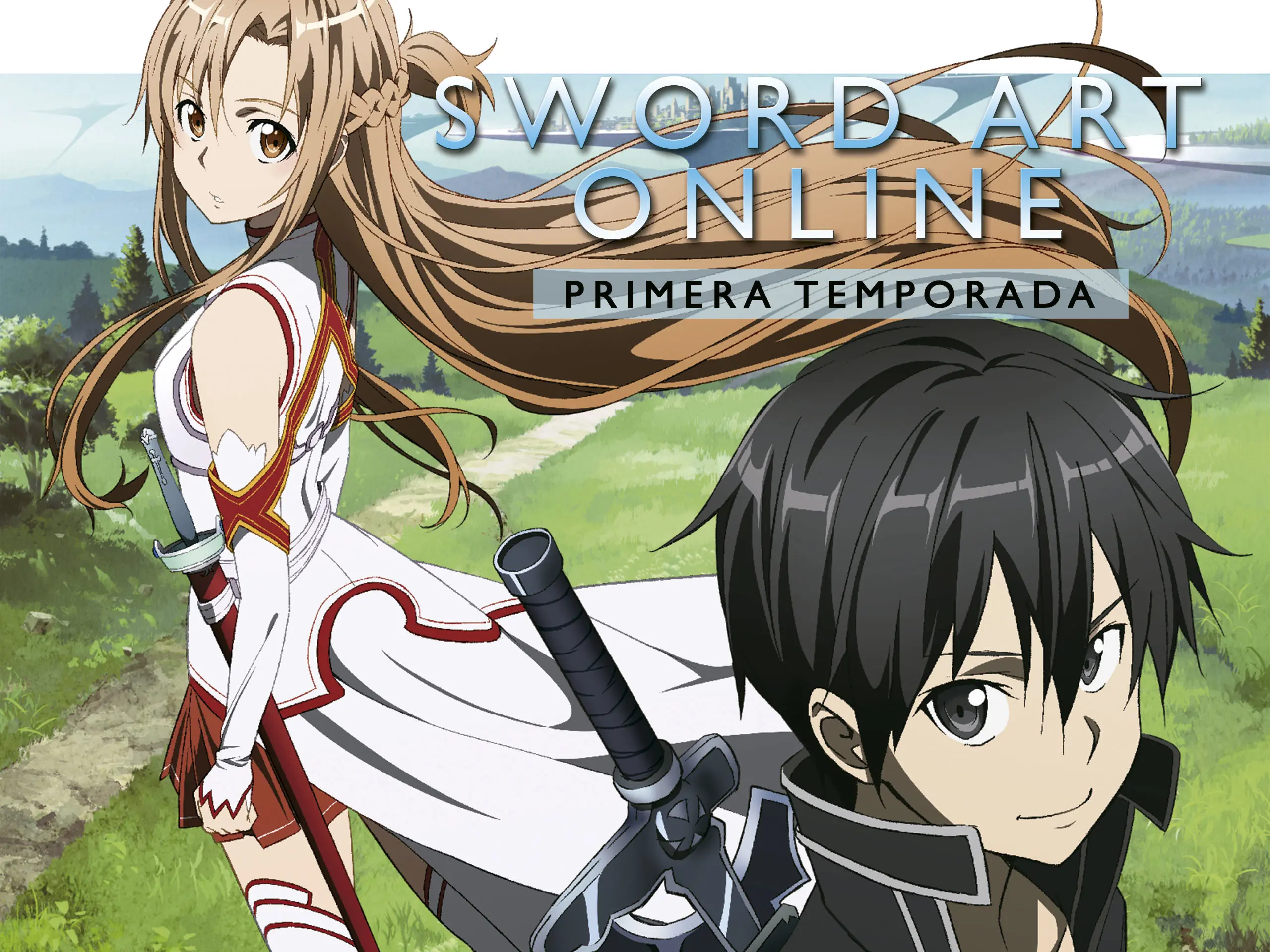 vestimenta de kirito - Qué nivel es Kirito