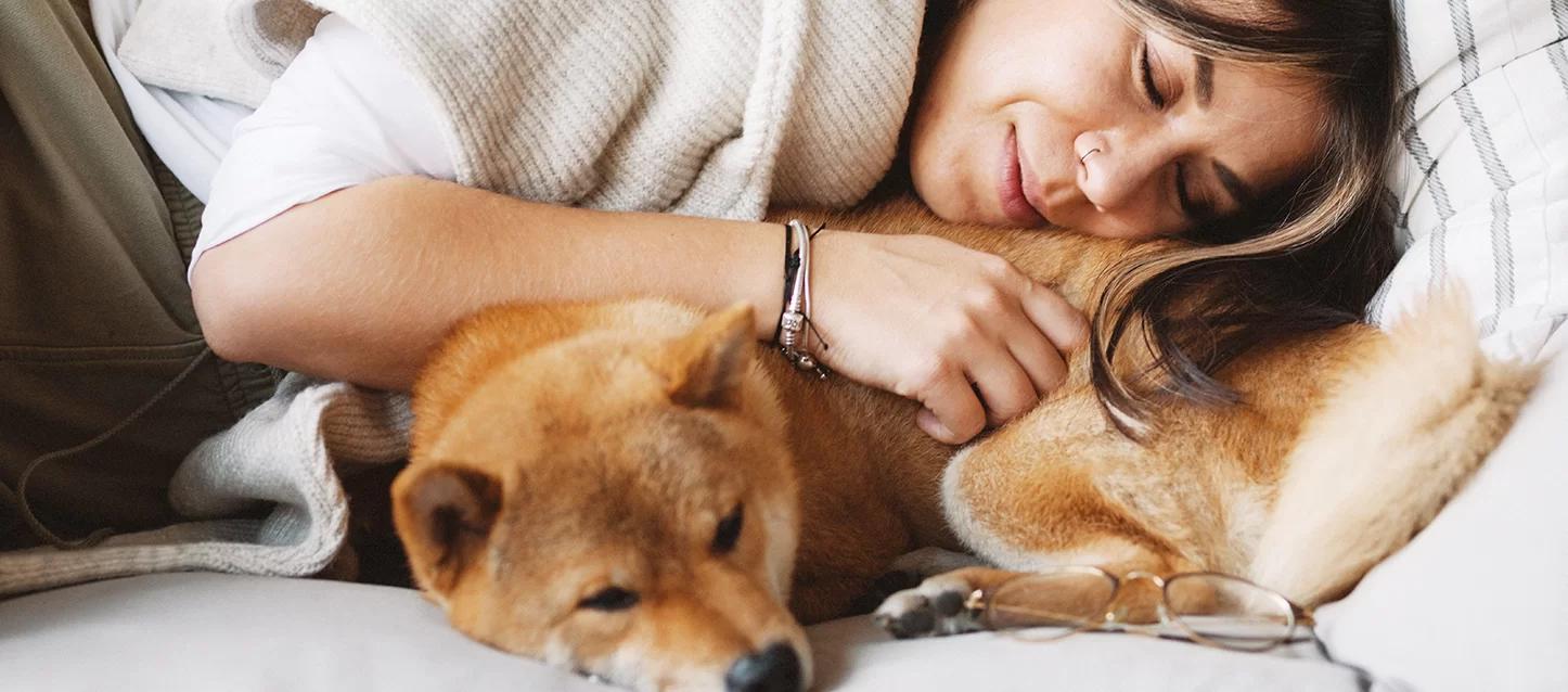 como hacer ropa de perro para el frio - Qué pasa si mi perro duerme afuera en invierno