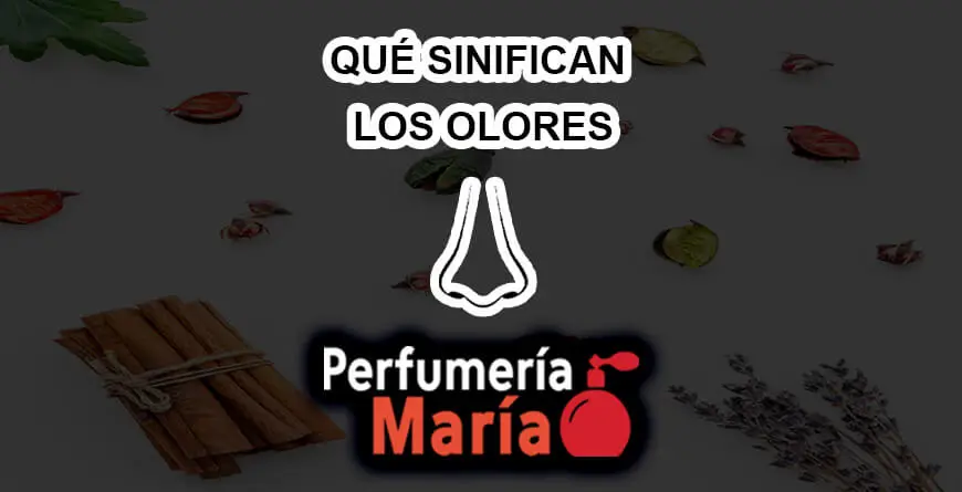 que significa sentir olor a perfume - Qué significa cuando te llega un olor a flores