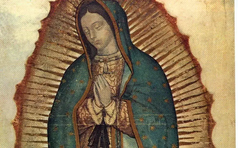 blusas de la virgen de guadalupe - Qué significado tiene la vestimenta de la Virgen de Guadalupe