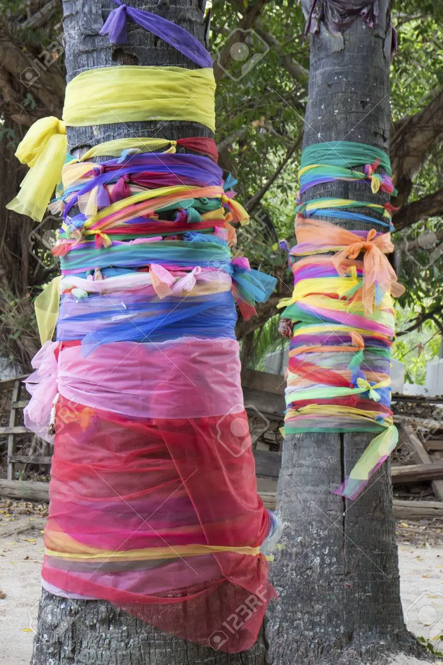 Arboles vestidos con telas: Una forma creativa de decorar el entorno - Qué significan los tejidos en los árboles arboles vestidos con telas - Qué significan los tejidos en los árboles