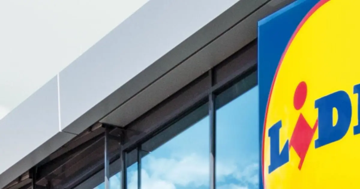 Lidl Ropa: La marca de moda a precios irresistibles - Qué tipo de empresa es Lidl lidl ropa - Qué tipo de empresa es Lidl