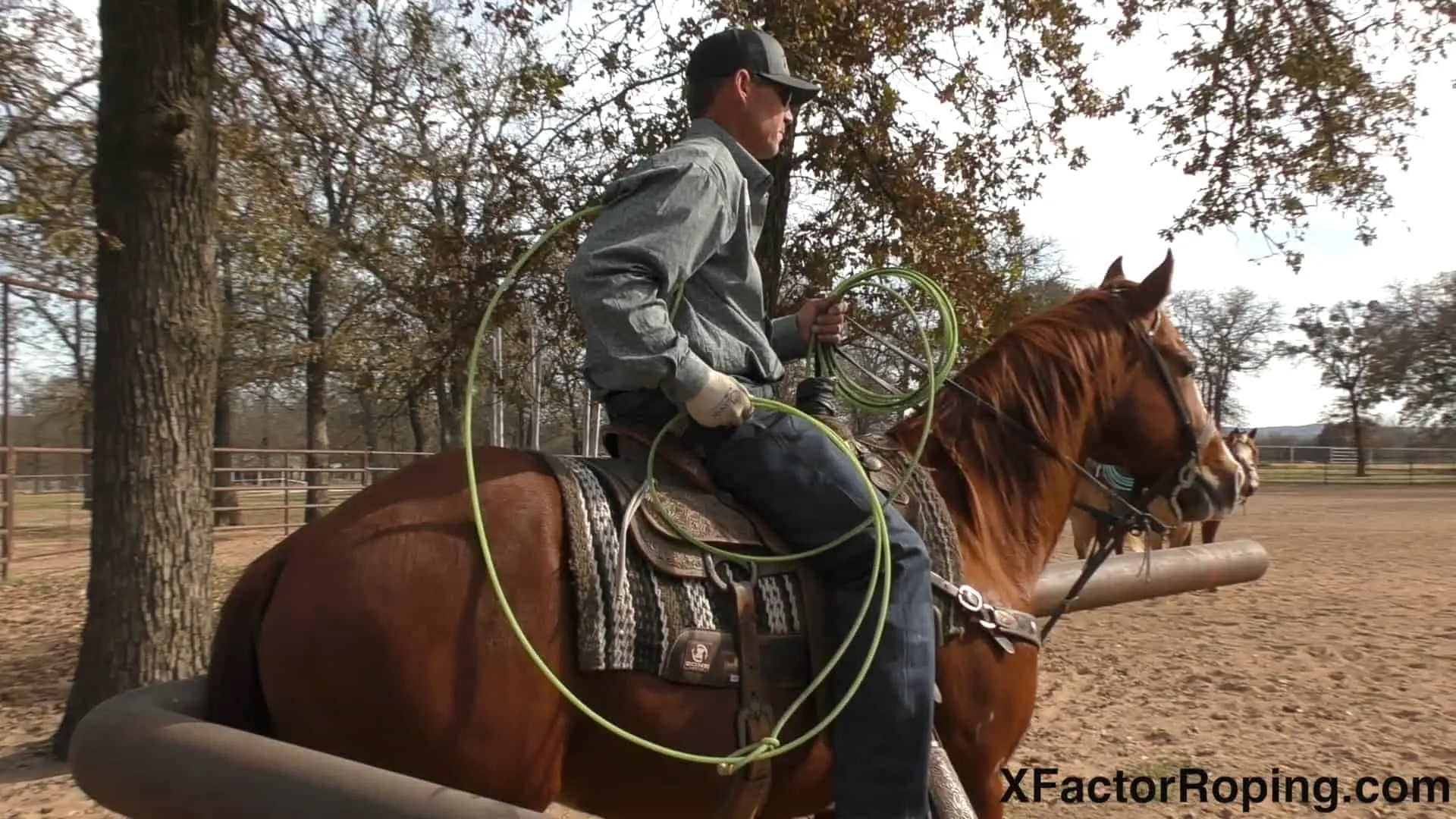 roping ropes - What rope to start roping with